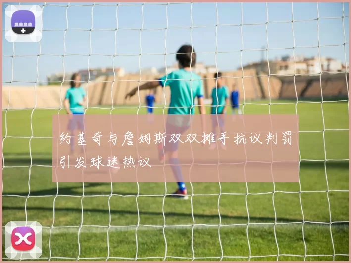 约基奇与詹姆斯双双摊手抗议判罚引发球迷热议